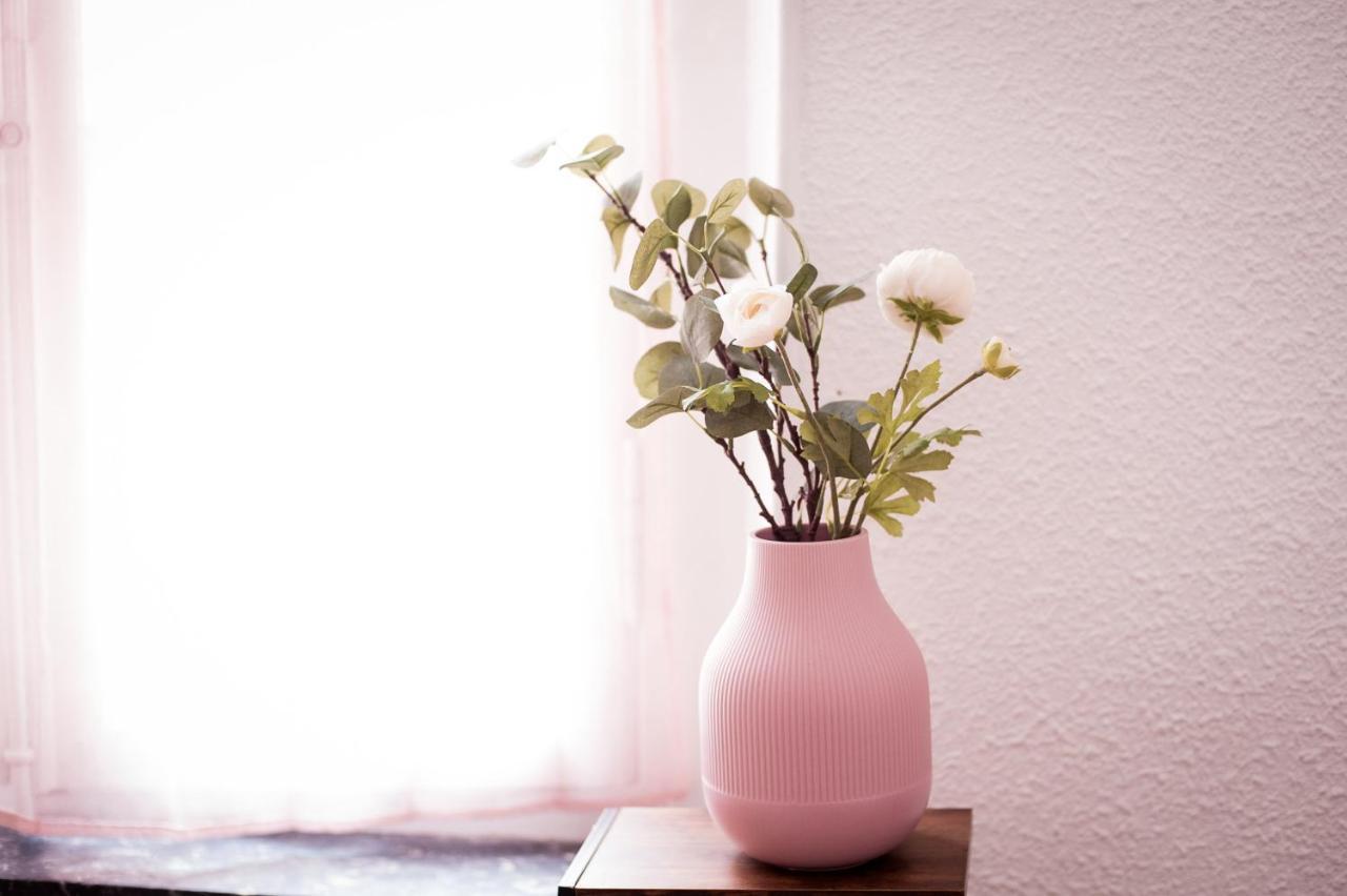 Douce Parenthese A Carcassonne Apartment Екстериор снимка